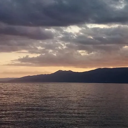 Zelena Oaza U Centru Grada