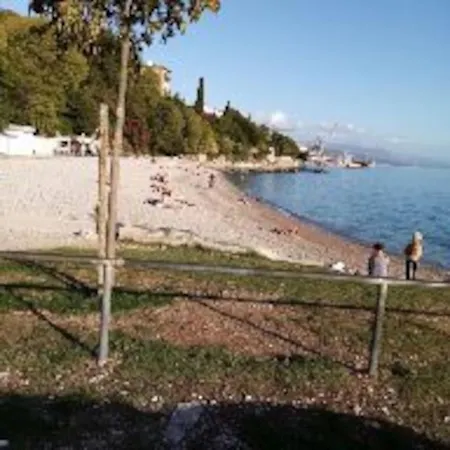 Zelena Oaza U Centru Grada