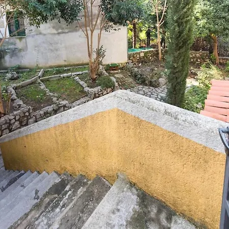 Privatunterkunft Zelena Oaza U Centru Grada *
